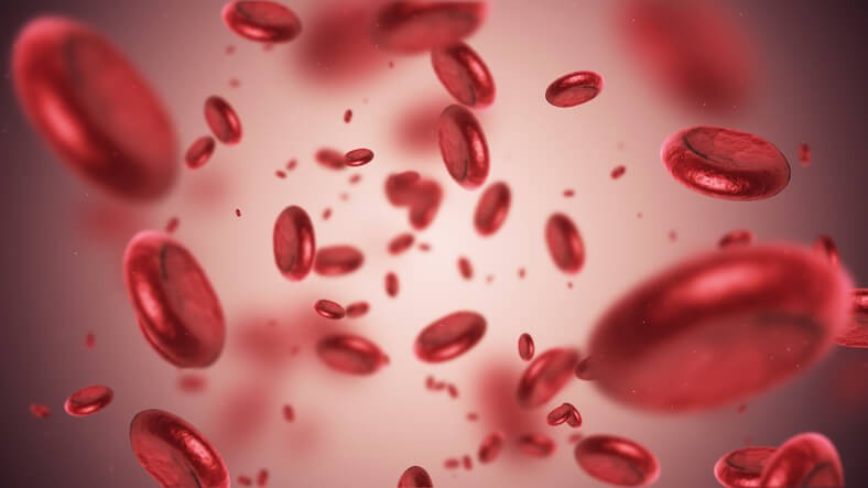 La anemia se puede tratar y controlar mejorando el estilo de vida, e incluso en algunos casos se puede prevenir con una dieta saludable.