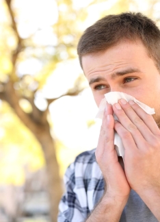 Alergias por cambio de clima: ¿cómo tratarlas?