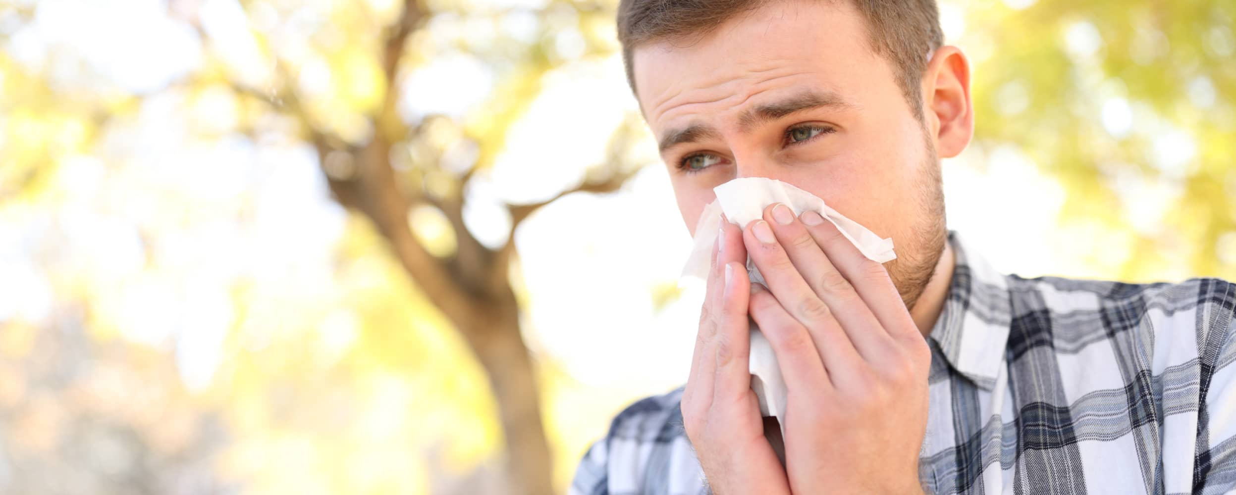 Alergias por cambio de clima: ¿cómo tratarlas?